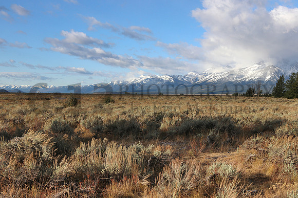 GrandTeton8128