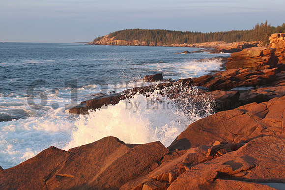 AcadiaNP1159