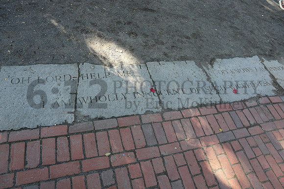 IMG_0251