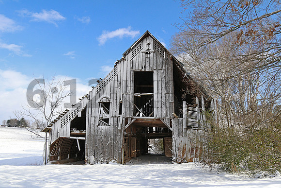 Barn4729