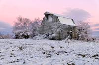 TNSnow8464p