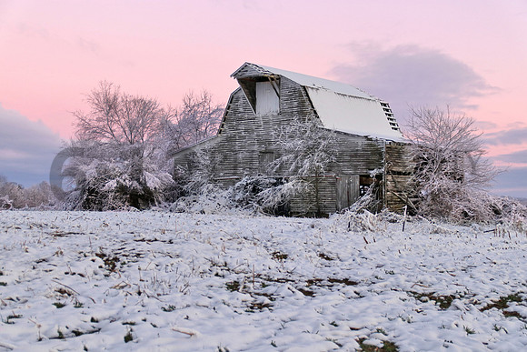 TNSnow8464p