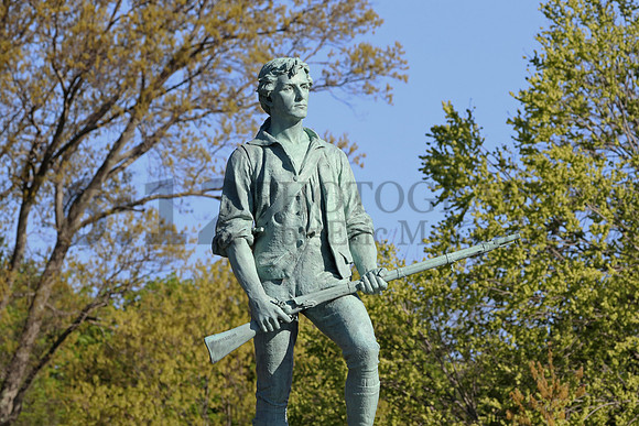 Lexington5054