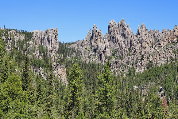BlackHills6186