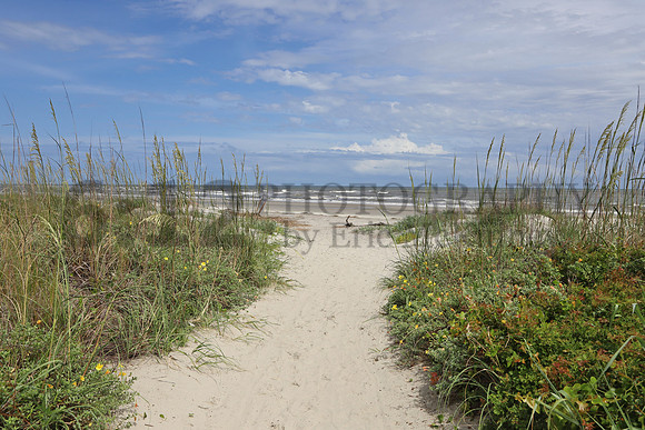 Folly0110