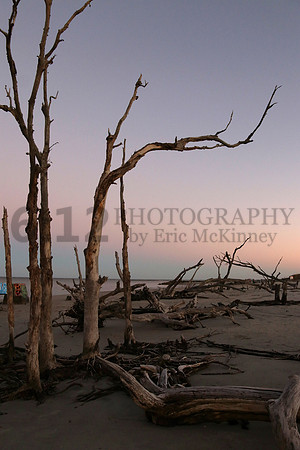 FollyBeach3981