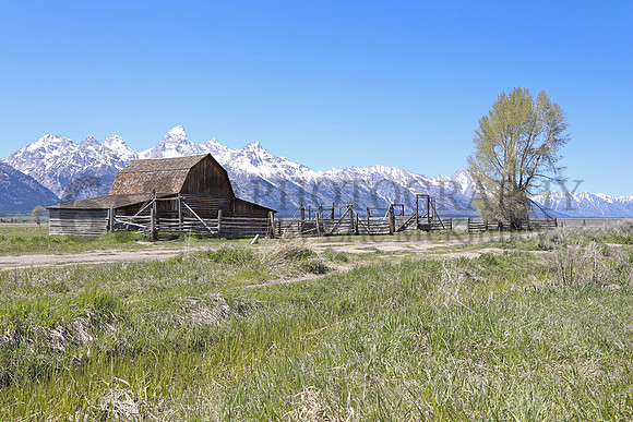 GrandTetons3787