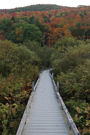 AppalachianTrail6284