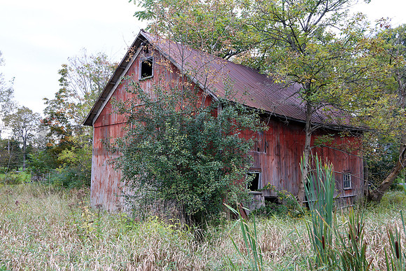 FingerLakes2873