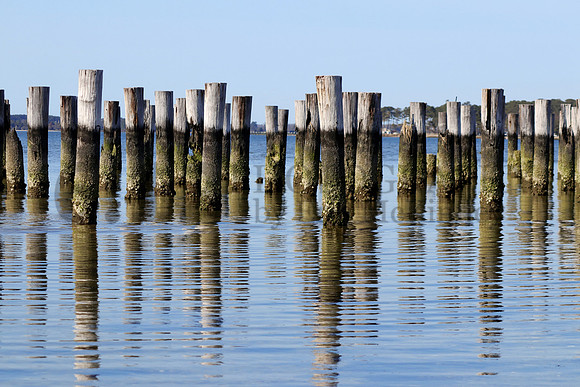 CapeCharles5445