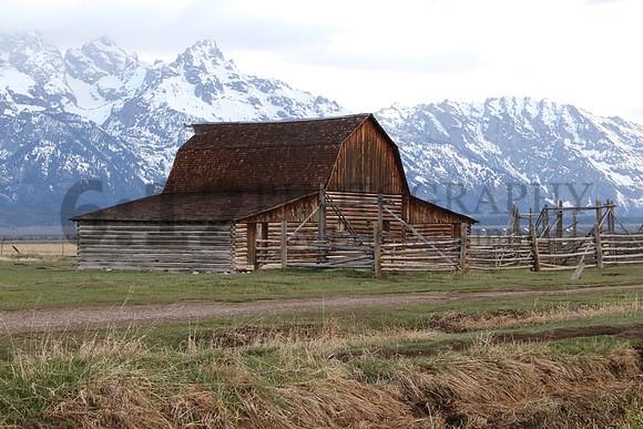 GrandTetons6288