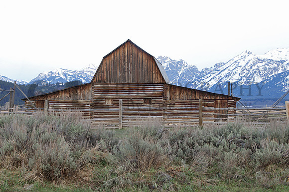 GrandTetons6303