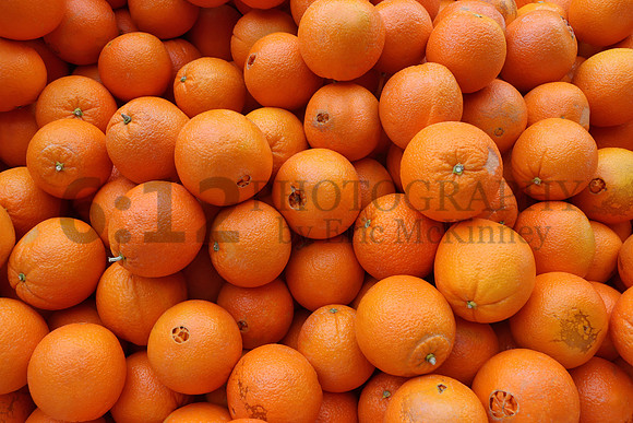 FloridaNavelOranges0963