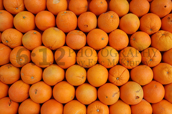 FloridaOranges0974