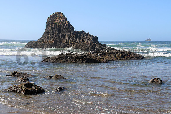 Oregon0901