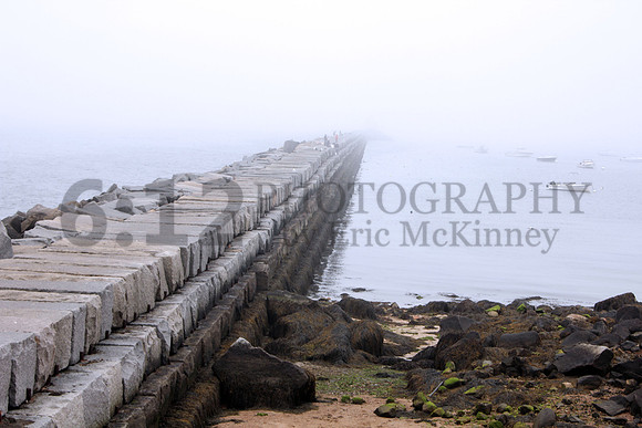 Fog0390