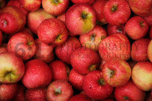 ApplesMichigan4464