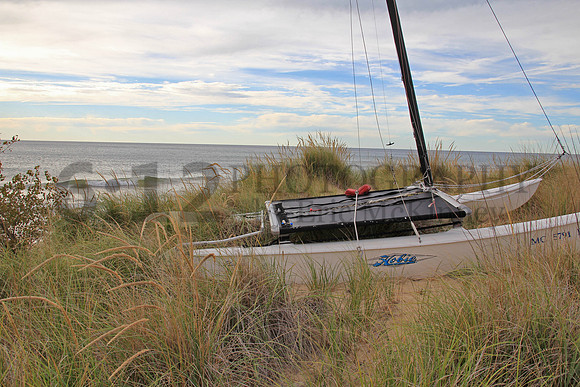 HollandMI2894