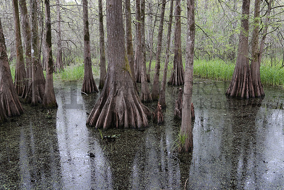 LakeMartin7064