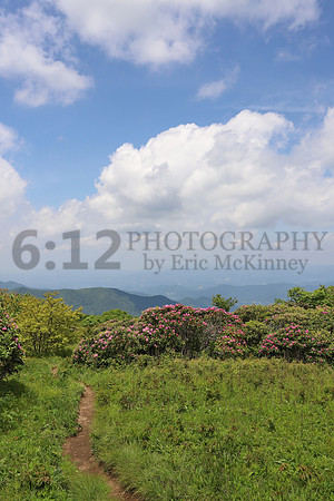 CraggyGardens7131