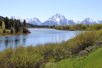 GrandTetons4268