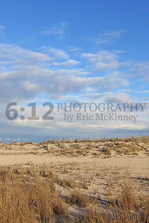 FireIsland1581