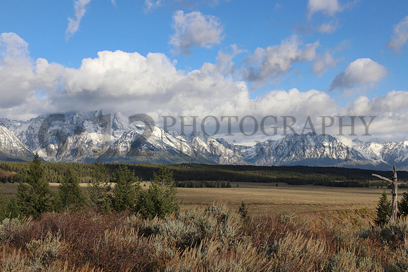 GrandTeton8134