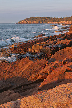 AcadiaNP1198