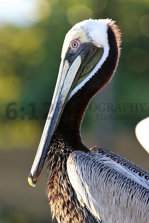 FloridaKeys8948