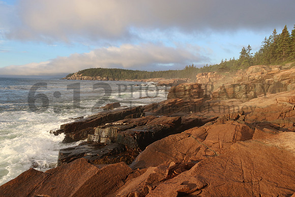 AcadiaNP8780