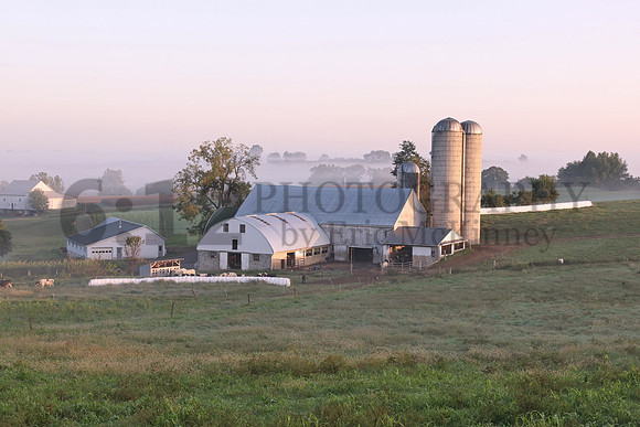 AmishFog5057