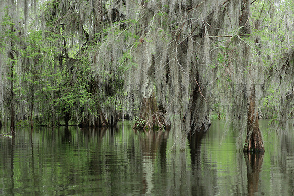 Breaux3326
