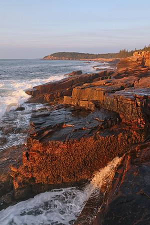 AcadiaNP1311