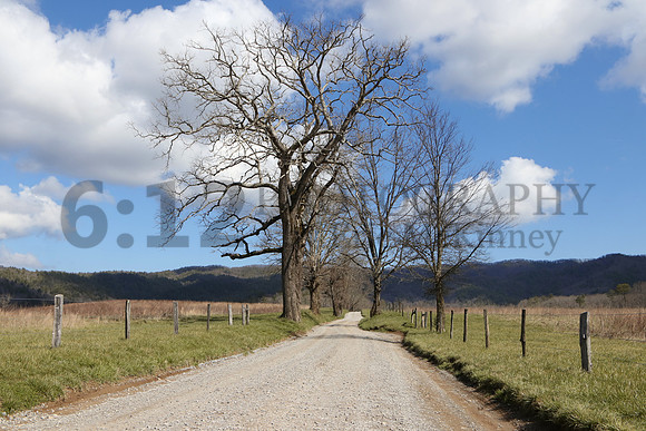 CadesCove1423
